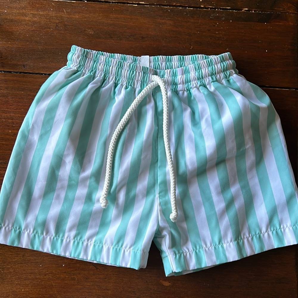 Kelly green and white stripe swim trunk